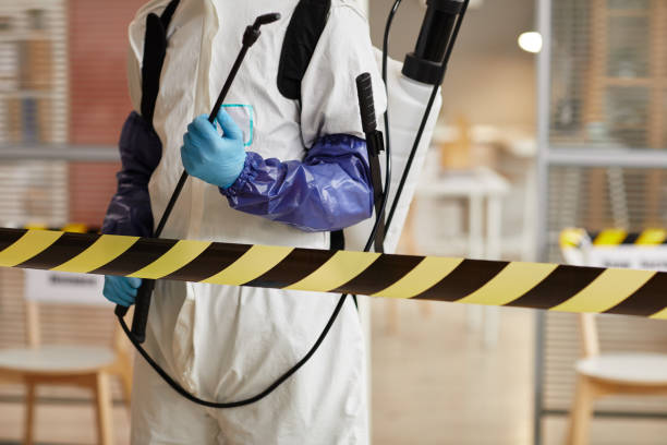Professional Unattended Death Cleanup technician working in Dover, FL